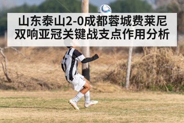 山东泰山2-0成都蓉城费莱尼双响亚冠关键战支点作用分析